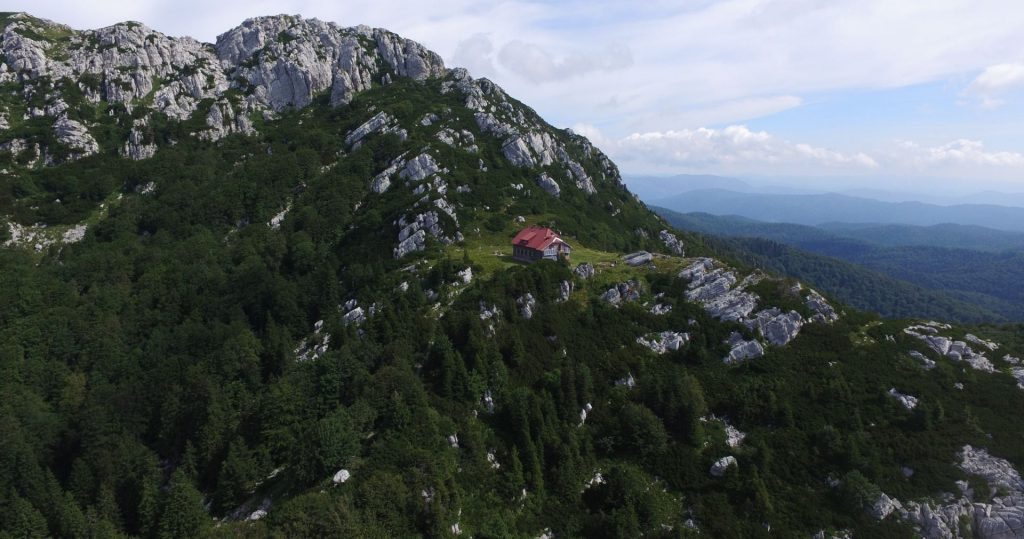 forest-tale-rsinjak